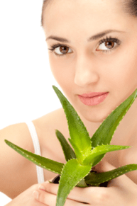 Receta de aloe de las primeras arrugas
